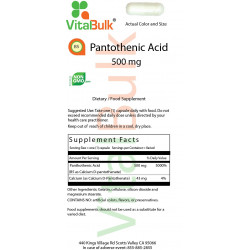 Pantothenic Acid B-5 500 mg (100 Count)