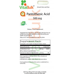 Pantothenic Acid B-5 500 mg (250 Count)
