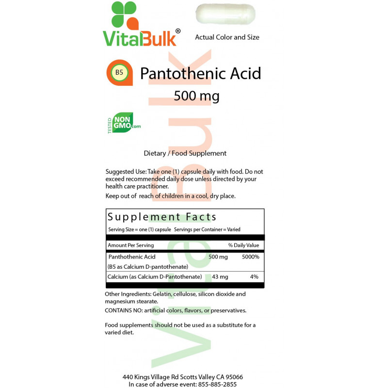 Pantothenic Acid B-5 500 mg (500 Count)